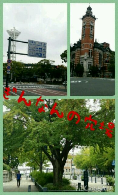 (JPEG摜 48KB)
