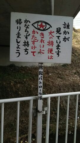 (JPEG摜 28KB)